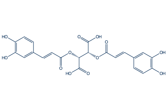 Chicoric acid