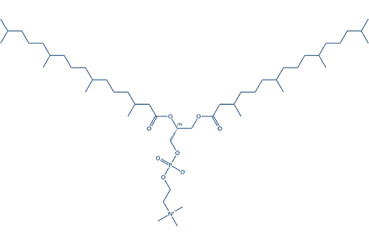 DPhPC