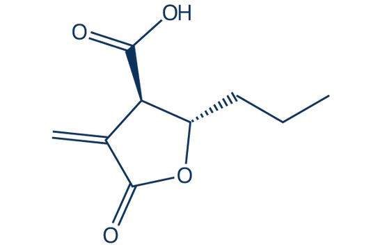 Butyrolactone 3