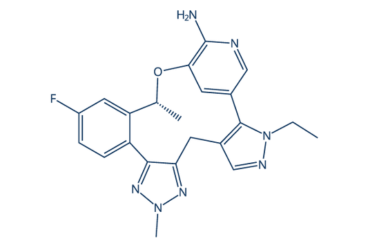 Zidesamtinib