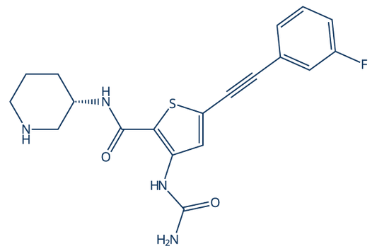 PHI-101