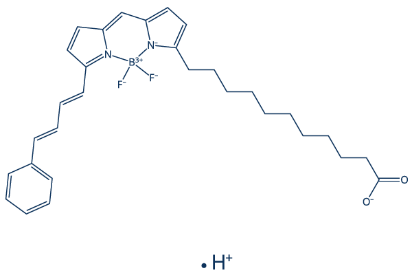 BODIPY 581/591 C11