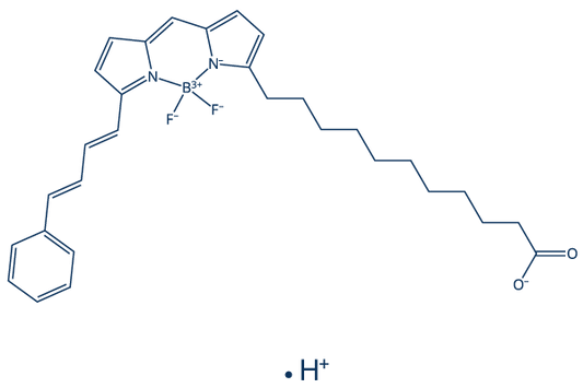 BODIPY 581/591 C11