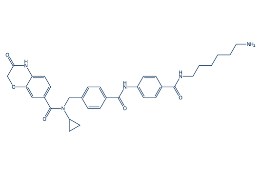 UNC8153
