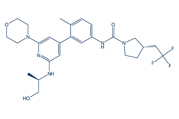 Exarafenib (KIN-2787)