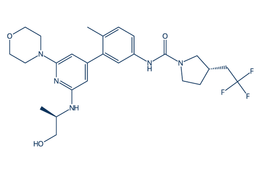 Exarafenib (KIN-2787)