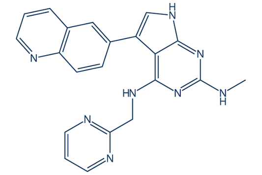 T025