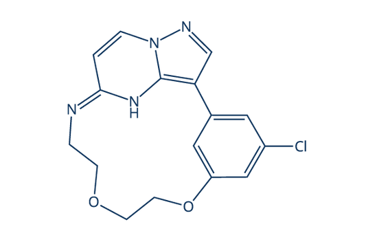 OD36