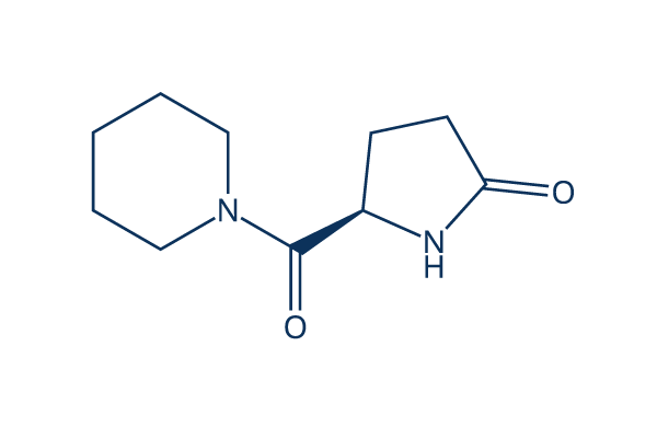 Fasoracetam (NS 105)