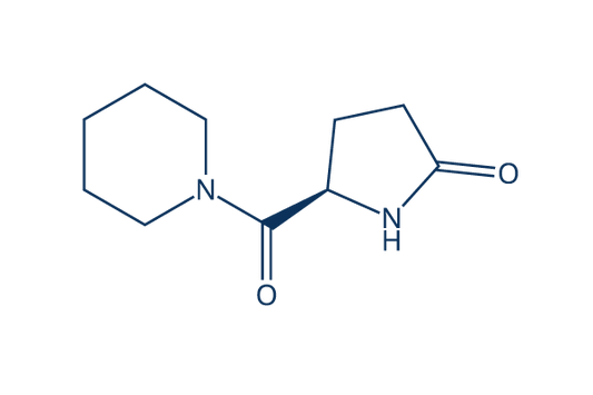 Fasoracetam (NS 105)