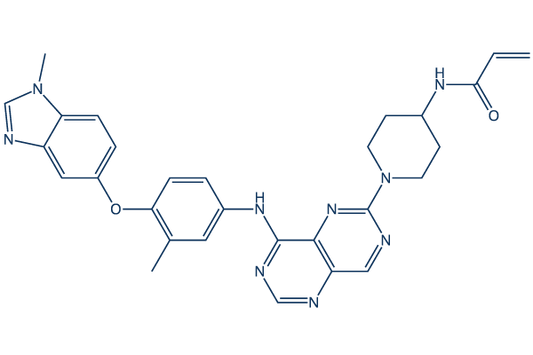 Zongertinib (BI 1810631)