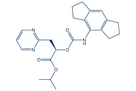 NT-0796