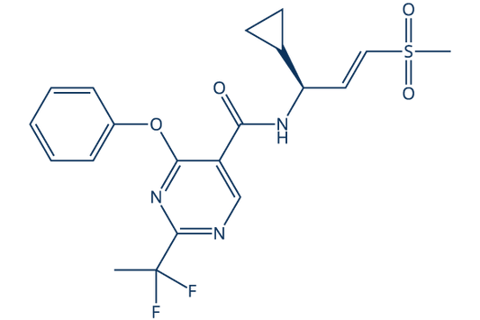VVD-214 (VVD-133214, RO7589831)