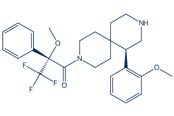 BAY-593