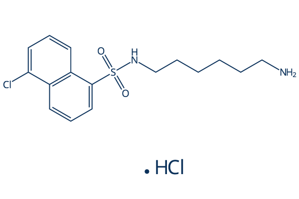 W-7 hydrochloride
