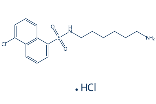 W-7 hydrochloride