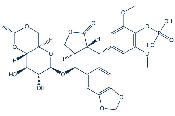 Etoposide phosphate