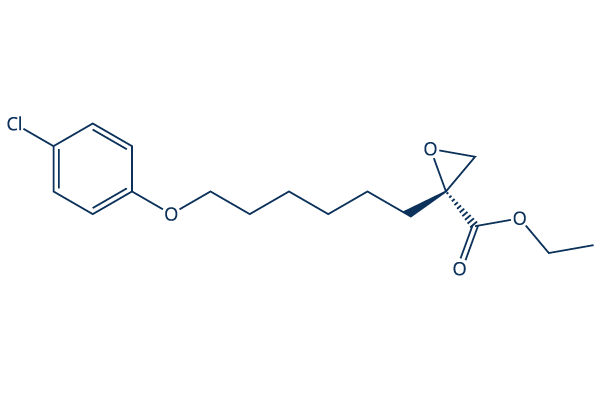 Etomoxir