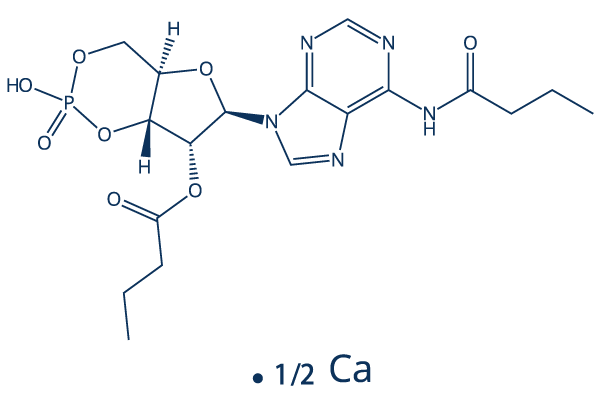 Bucladesine calcium