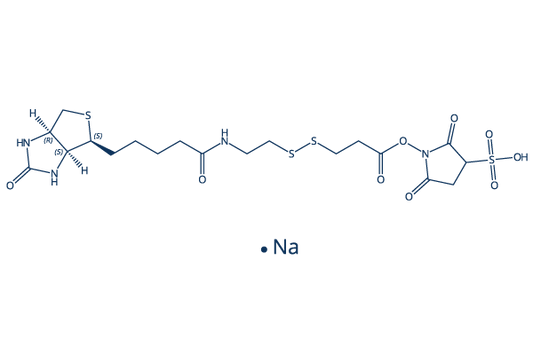 Sulfo-NHS-SS-Biotin sodium