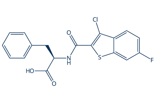 CU-CPT 4a