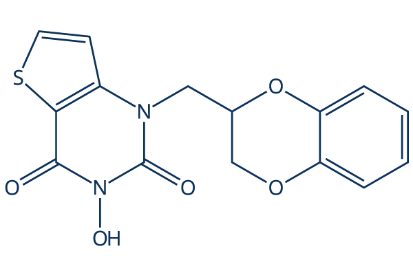FEN1-IN-1