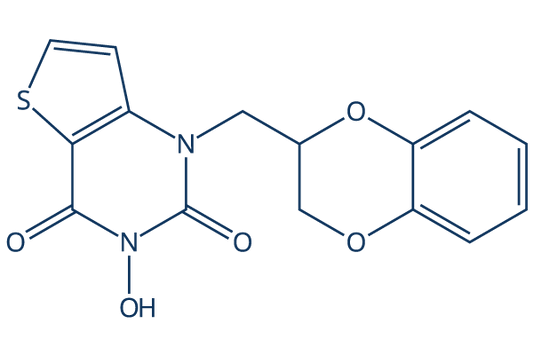 FEN1-IN-1