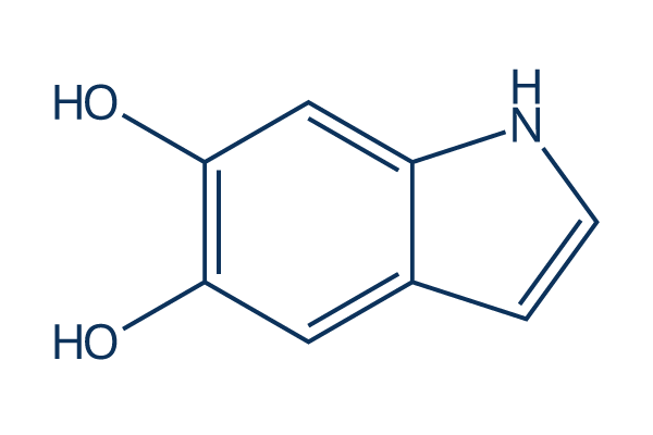 5,6-Dihydroxyindole