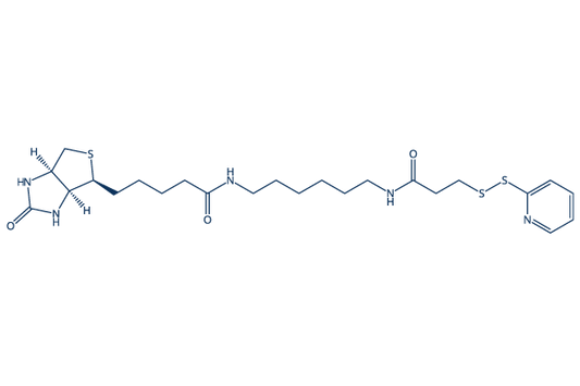 Biotin-HPDP