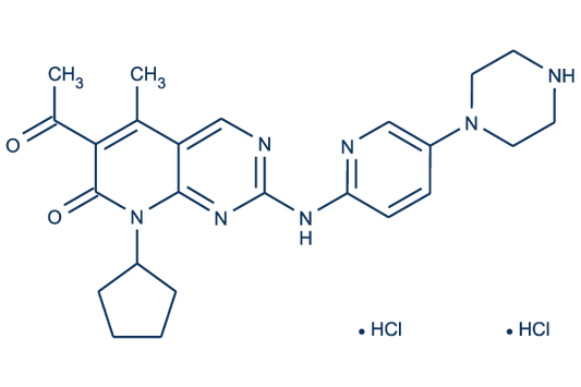 Palbociclib 2HCL