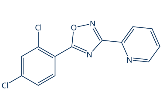 JY-2