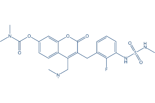 Atebimetinib (IMM-1-104)