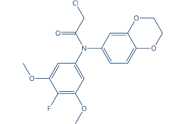 GPX4-IN-5