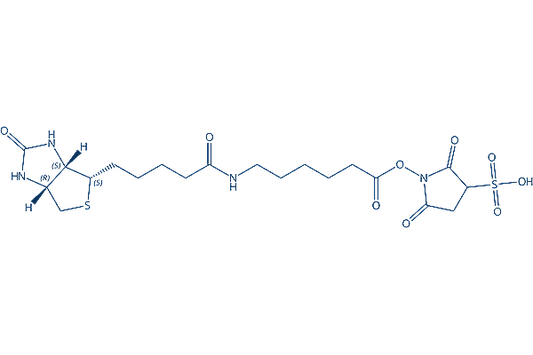 Sulfo-NHS-LC-Biotin sodium