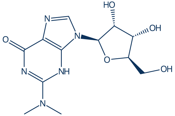 N2,N2-Dimethylguanosine