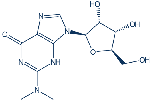 N2,N2-Dimethylguanosine