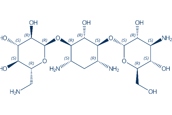 Kanamycin