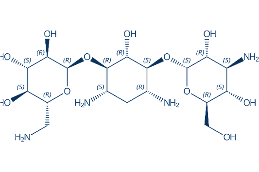 Kanamycin