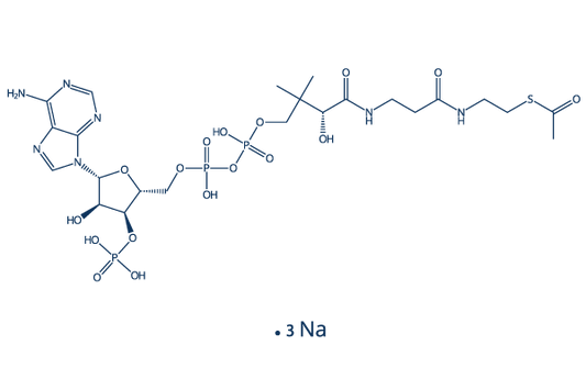 Acetyl Coenzyme A trisodium