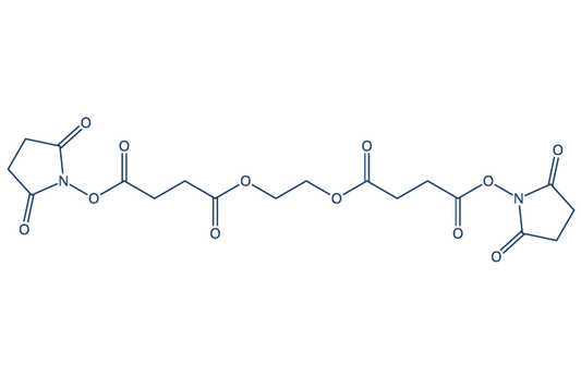 EGNHS