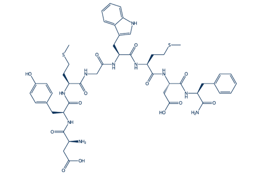 Cholecystokinin Octapeptide, desulfated