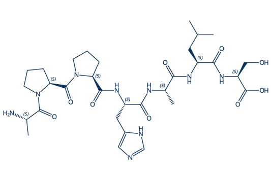 RS 09