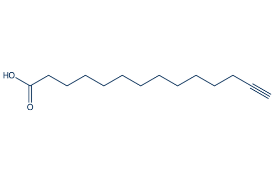 Alkynyl myristic acid
