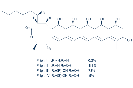 Filipin complex