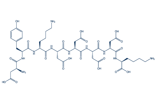 FLAG peptide