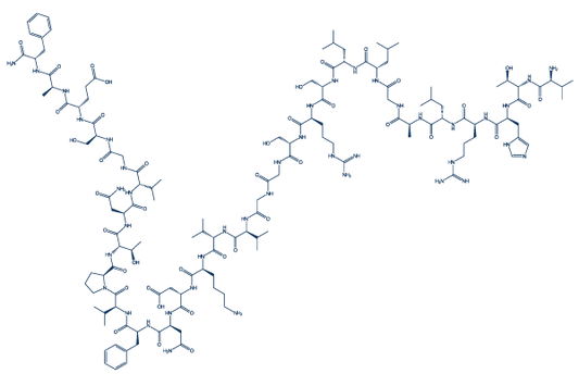 Rat CGRP- (8-37)