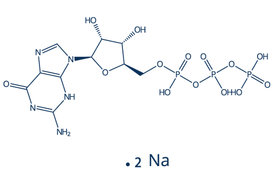 Guanosine-5'-triphosphate disodium salt