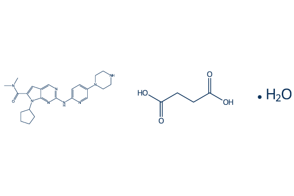 Ribociclib succinate hydrate