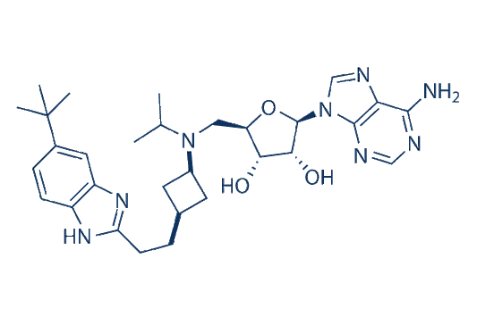 Pinometostat (EPZ5676)
