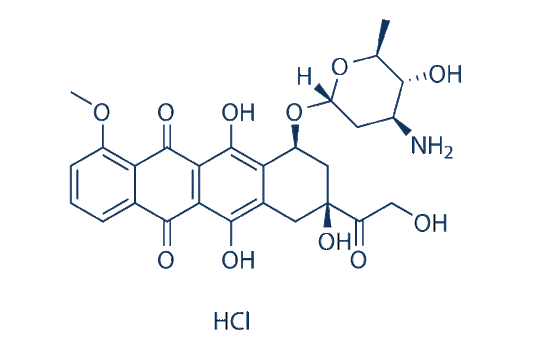 Epirubicin HCl
